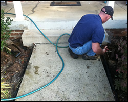 Dead animal removal Hamilton OH